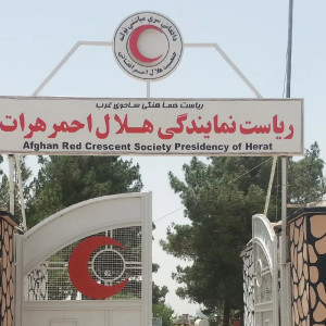 هلال-احمر-هرات-به-زلزلهزدگان-این-ولایت-کمک-کرد