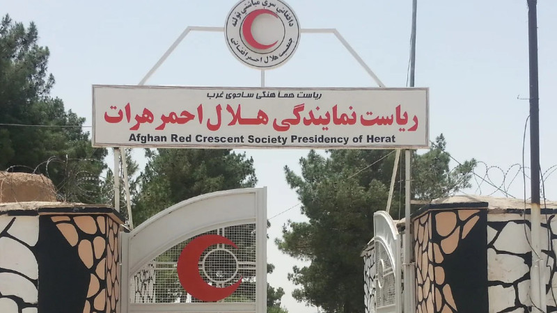 هلال-احمر-هرات-به-زلزلهزدگان-این-ولایت-کمک-کرد