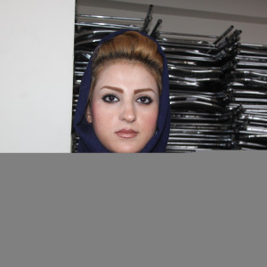 حضور زنان در ادارات دولتی انگشت شمار است / وجود وزارت امور زنان، زمینه تبعیض جنسیتی را فراهم می کند
