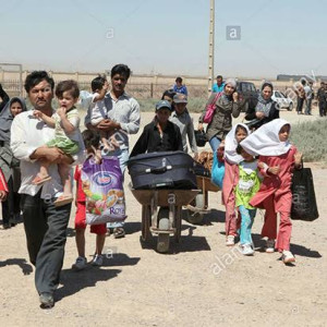 ۵۵۰-هزار-تن-در-شش-ماه-به-کشور-برگشتهاند