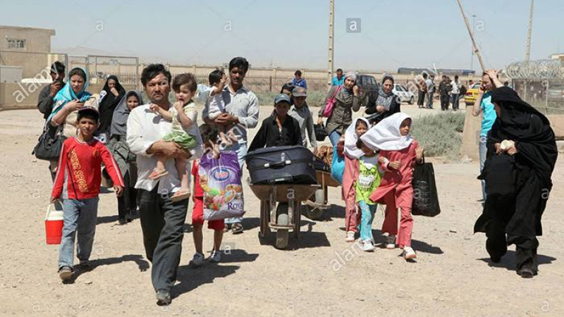 ۵۵۰-هزار-تن-در-شش-ماه-به-کشور-برگشتهاند