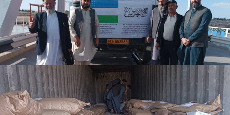 محموله تخم‌های بذری ازبیکستان به افغانستان رسید