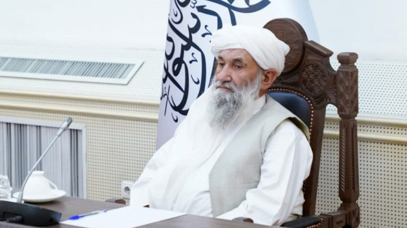 آمادگی-طالبان-برای-سرشماری-نفوس-افغانستان