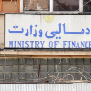 کارمندان-زن-به-جای-خود-مرد-عضو-خانواده-خود-را-معرفی-کند