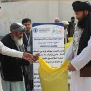 تخم-اصلاحشده-بذری-برای-دهاقین-لغمان-توزیع-شد