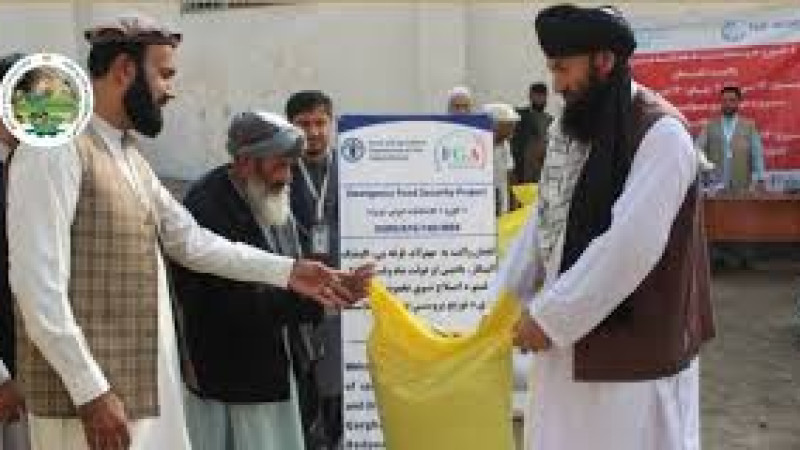 تخم-اصلاحشده-بذری-برای-دهاقین-لغمان-توزیع-شد