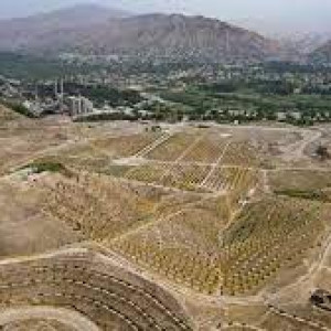 ایجاد-باغ-ترقی-در-بغلان-با-غرس-۳۰-هزار-درخت-میوه