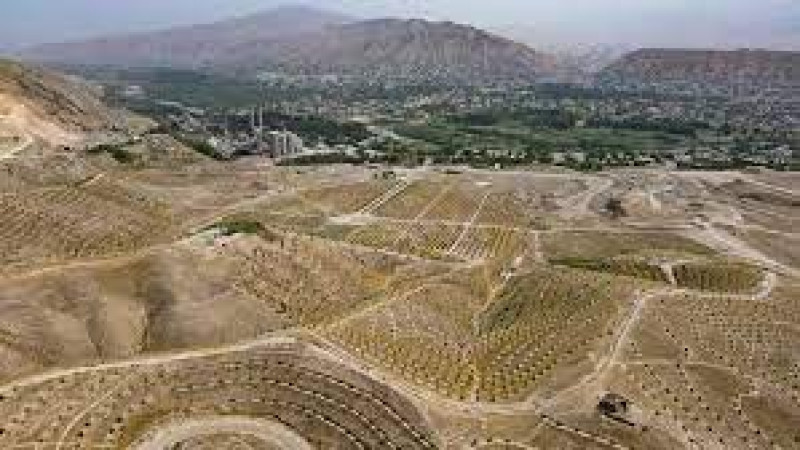 ایجاد-باغ-ترقی-در-بغلان-با-غرس-۳۰-هزار-درخت-میوه