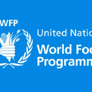 هزار-تن-مواد-غذایی-در-سال-به-افغانستان-کمک-شد