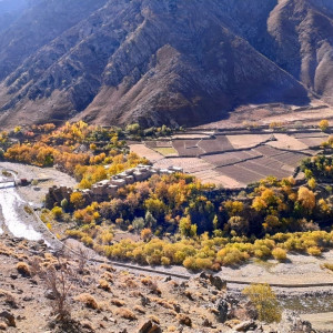 خودکشی-دختری-۱۷-ساله-در-پنجشیر