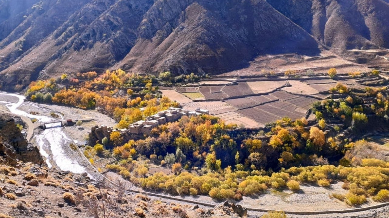 خودکشی-دختری-۱۷-ساله-در-پنجشیر